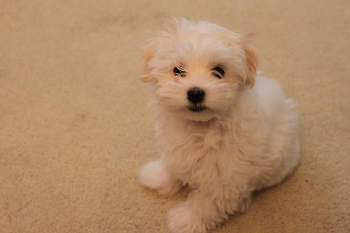 552752964_32305712672349305_1220528074400861443_n